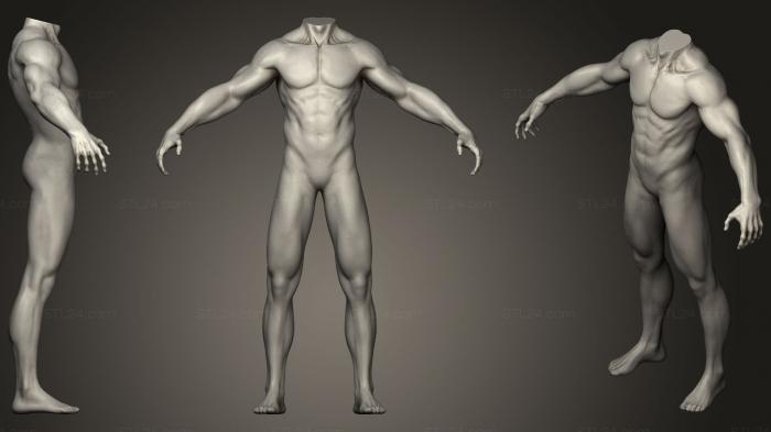 Анатомия скелеты и черепа (Базовая сетка для мужского тела, ANTM_1240) 3D модель для ЧПУ станка